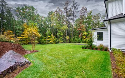 The Best Small Trees for Your Eastern Massachusetts Home